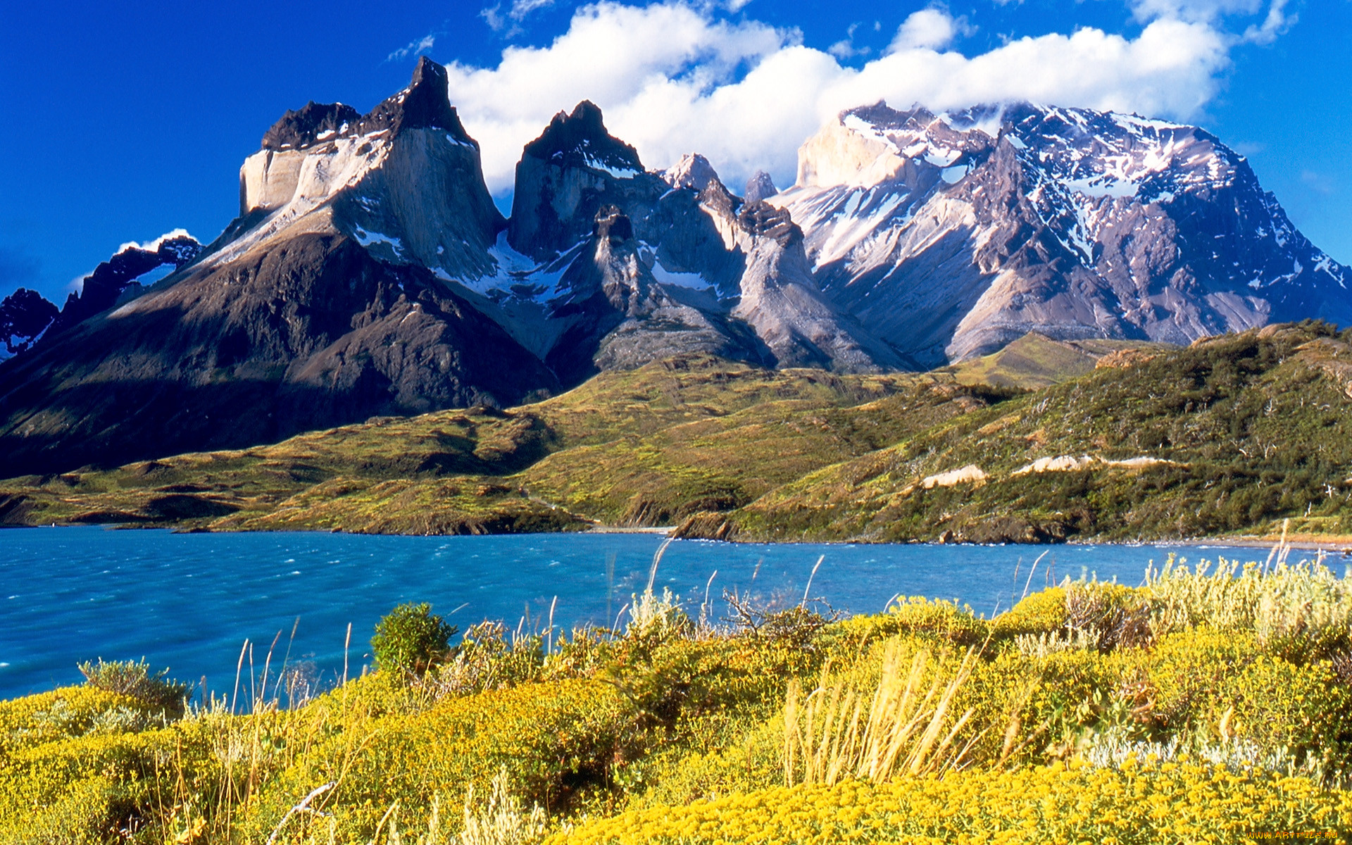 Аргентина горы Анды